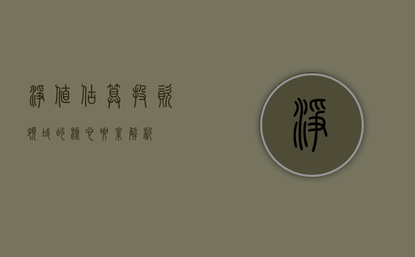 净值估算，投资领域的核心要素解析