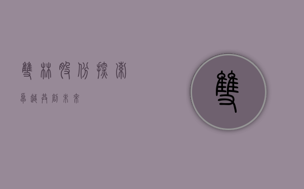 双林股份，探索卓越，共创未来