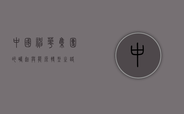 中国神华集团的崛起与能源转型之路