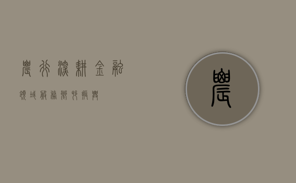 农行，深耕金融领域，服务乡村振兴
