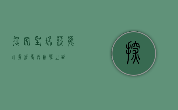 探究坚瑞沃能，企业成长与挑战之路