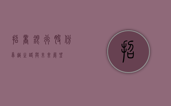 招商银行股份，卓越之路与未来展望