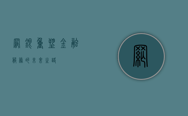 网银，重塑金融服务的未来之路