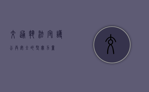 交通执法，守护公共安全的坚实力量