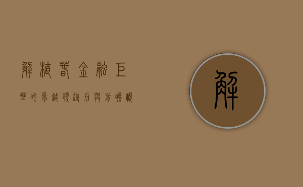 解植春，金融巨擘的卓越领导力与前瞻视野