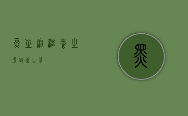 黑芝麻，滋养之源，健康之基