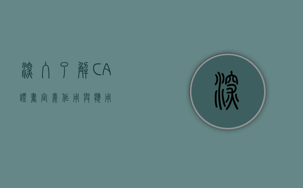 深入了解CA证书，定义、作用与应用