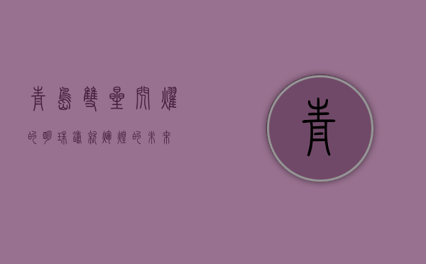 青岛双星，闪耀的明珠，铸就辉煌的未来