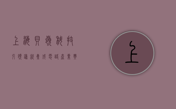上海贝岭,科技引领,铸就集成电路产业典范