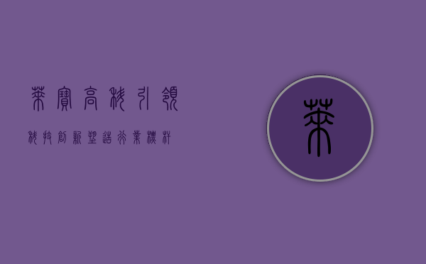 莱宝高科，引领科技创新，塑造行业标杆