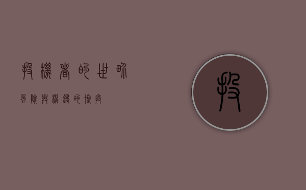 投机者的世界，风险与机遇的博弈