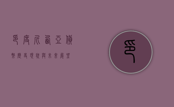 印度尼西亚货币，历史、现状与未来展望