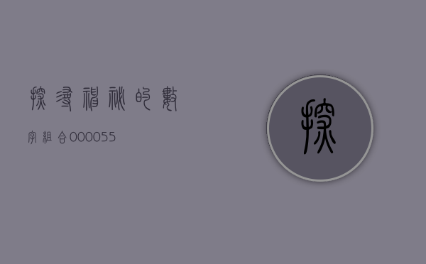 探寻神秘的数字组合，000055