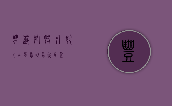 丰盛控股,引领企业发展的卓越力量