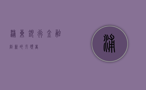 浦东银行，金融创新的引领者