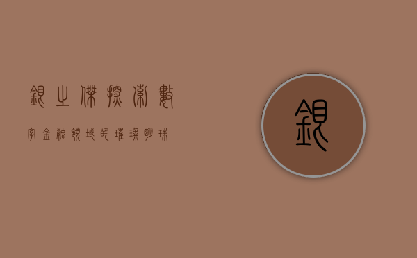 银之杰，探索数字金融领域的璀璨明珠