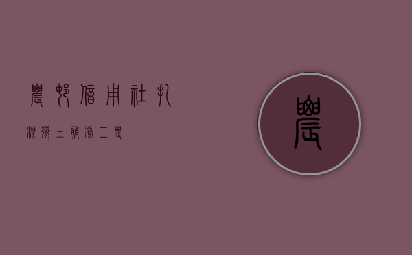 农村信用社，扎根乡土，服务三农
