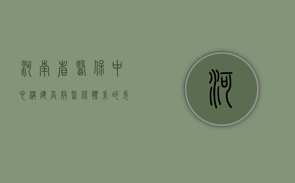 河南省医保中心，构建高效医保体系的先锋力量