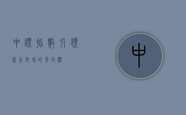 中证指数，引领资本市场的风向标