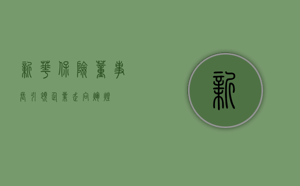 新华保险董事长—引领企业走向辉煌