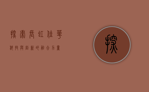 探索长虹佳华,科技与创新的融合力量