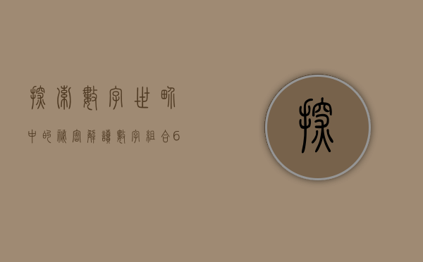 探索数字世界中的秘密—解读数字组合510900
