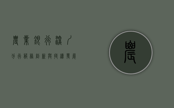 农业银行深圳分行，服务创新与持续发展的先行者