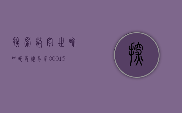 探索数字世界中的奥秘，数字001333的多元解读