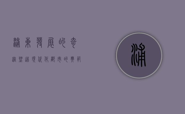 浦东发展的奇迹，塑造现代化都市的典范