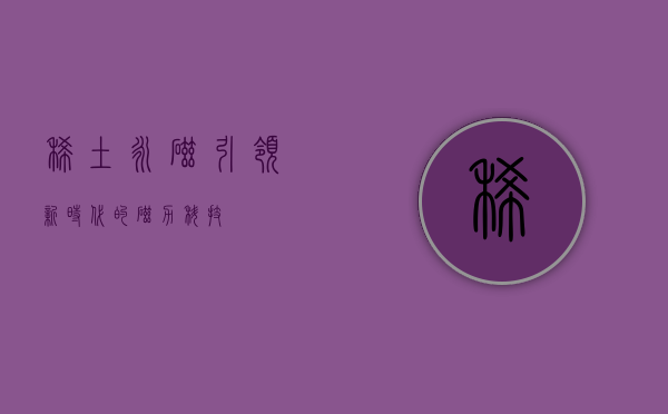 稀土永磁，引领新时代的磁力科技