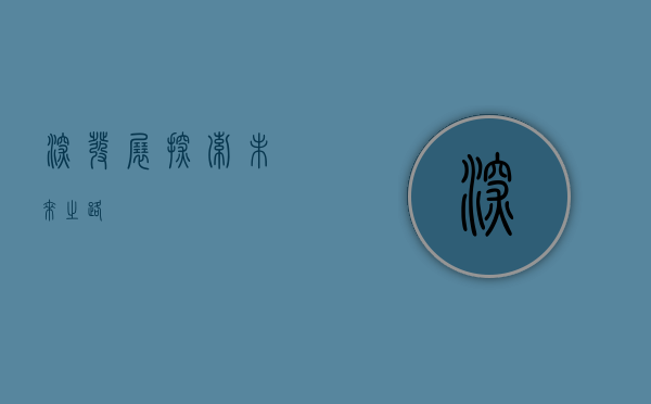 深发展,探索未来之路
