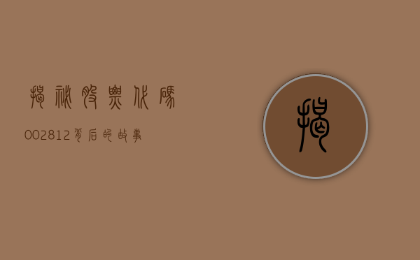 揭秘股票代码，002812背后的故事