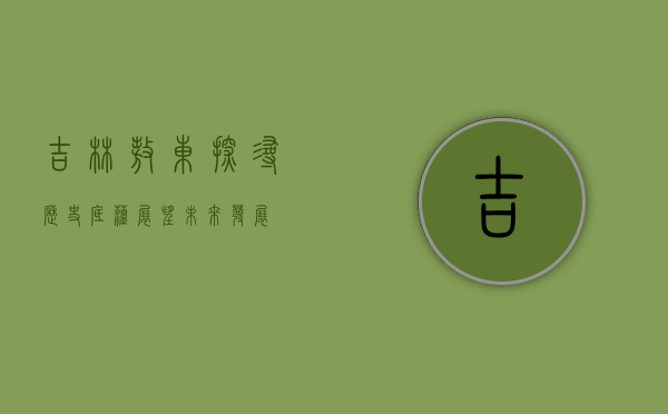 吉林敖东，探寻历史底蕴，展望未来发展