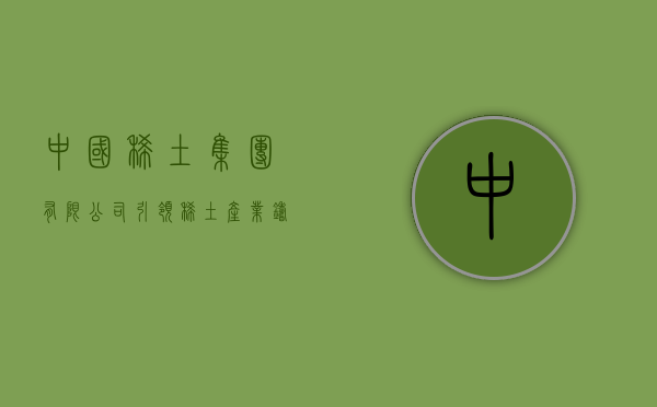 中国稀土集团有限公司，引领稀土产业，铸就国际典范