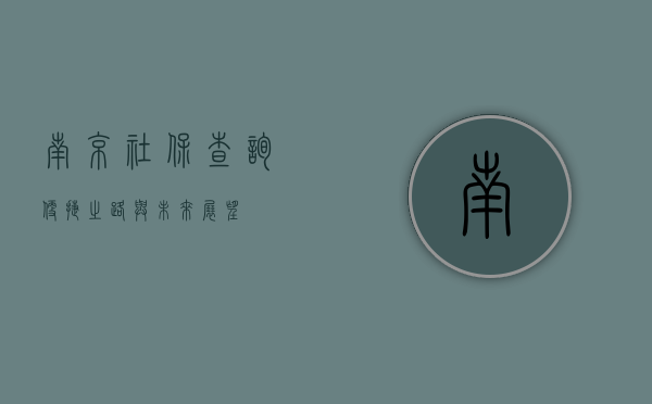 南京社保查询，便捷之路与未来展望