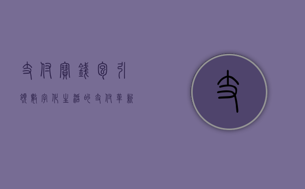 支付宝钱包，引领数字化生活的支付革新