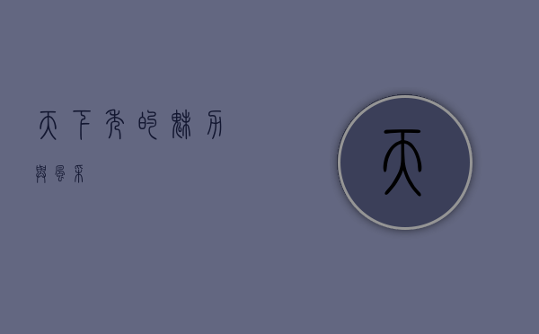 天下秀的魅力与风采