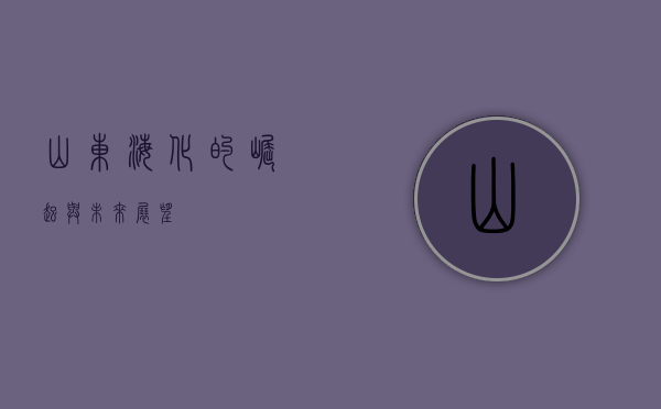 山东海化的崛起与未来展望