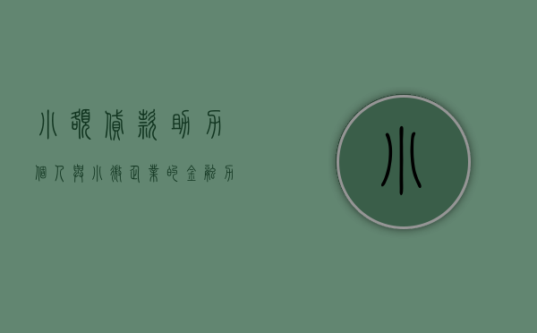 小额贷款，助力个人与小微企业的金融力量