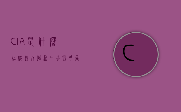 CIA是什么组织，深入解析中央情报局