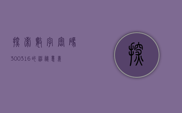 探索数字密码，300316的神秘意义