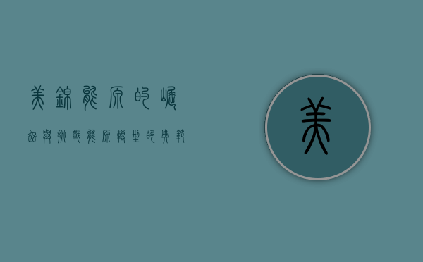 美锦能源的崛起与挑战,能源转型的典范