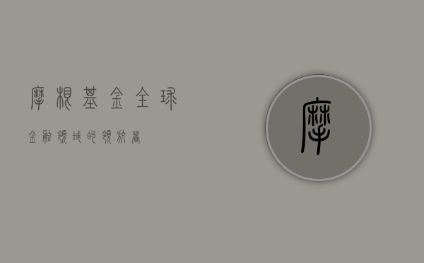 摩根基金，全球金融领域的领航者
