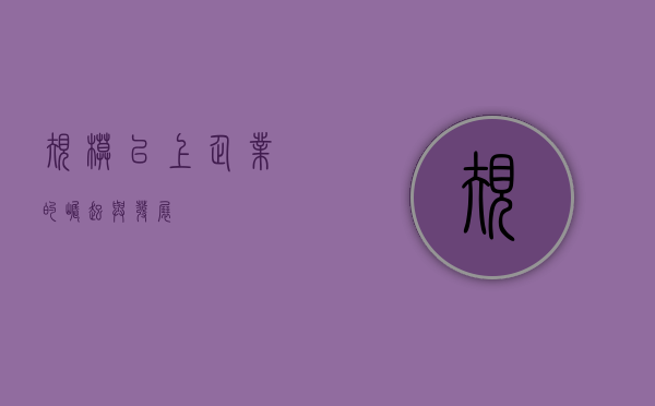 规模以上企业的崛起与发展