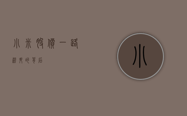 小米股价，一路飙升的背后