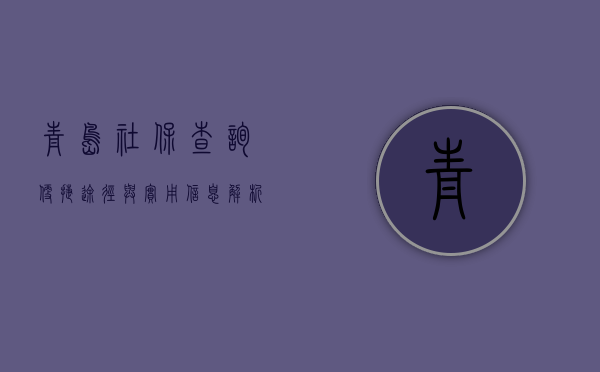 青岛社保查询，便捷途径与实用信息解析