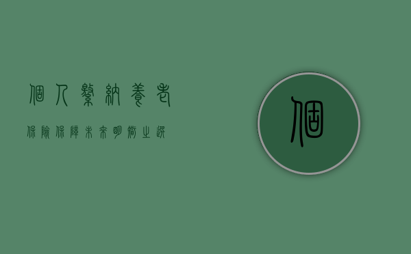 个人缴纳养老保险，保障未来，明智之选