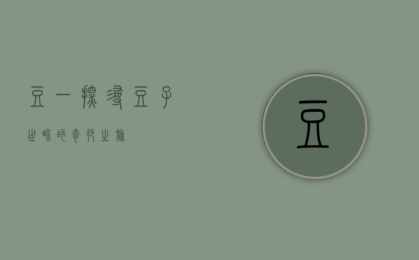 豆一，探寻豆子世界的奇妙之旅