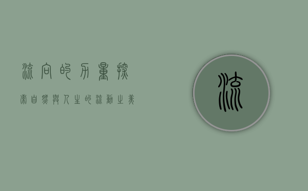 流向的力量，探索自然与人生的流动之美