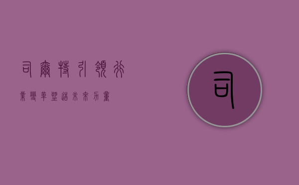 司尔特，引领行业变革，塑造未来力量